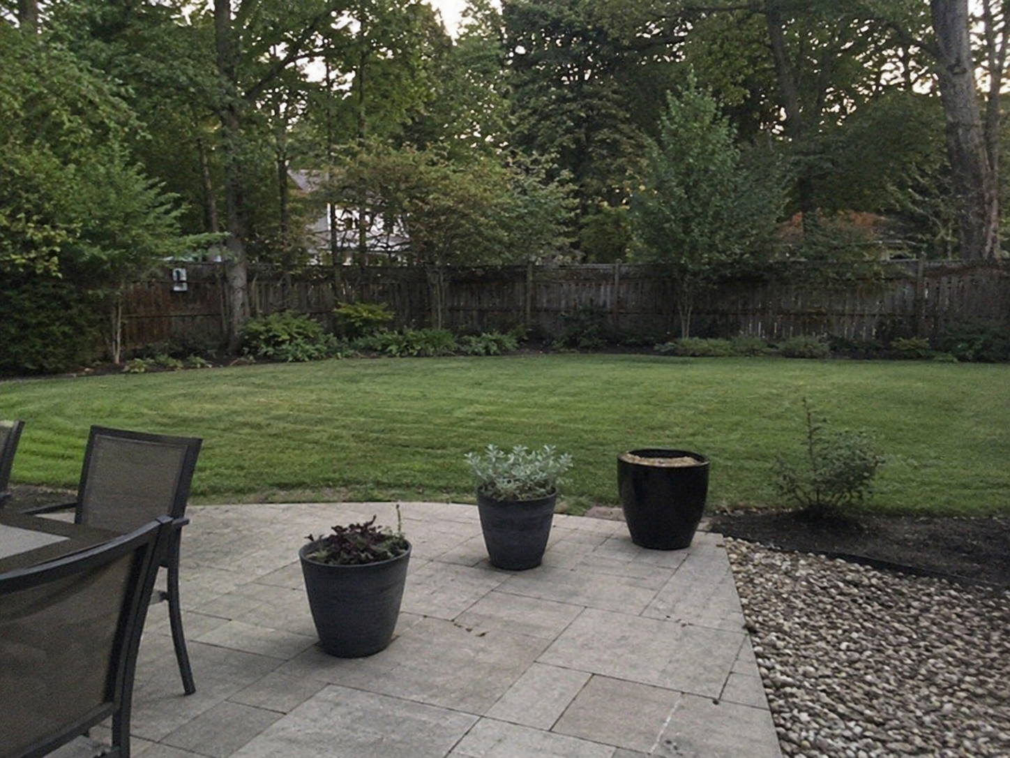 Backyard Lawn & Patio